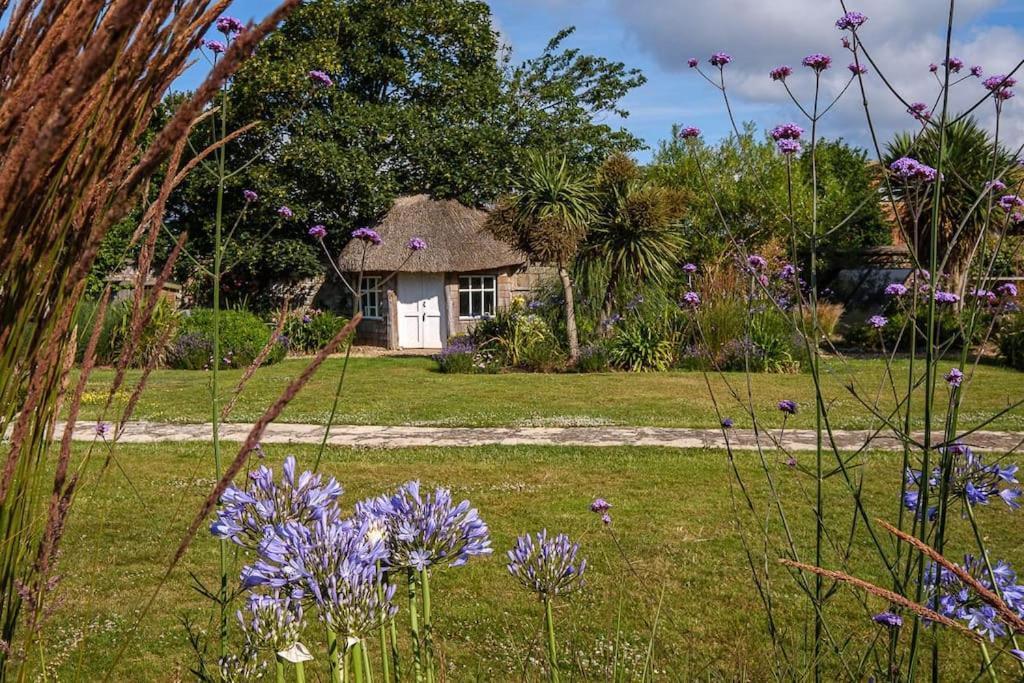 埃克斯茅斯The Beach House-Devon- On The Beach- Sleeps 20别墅 外观 照片