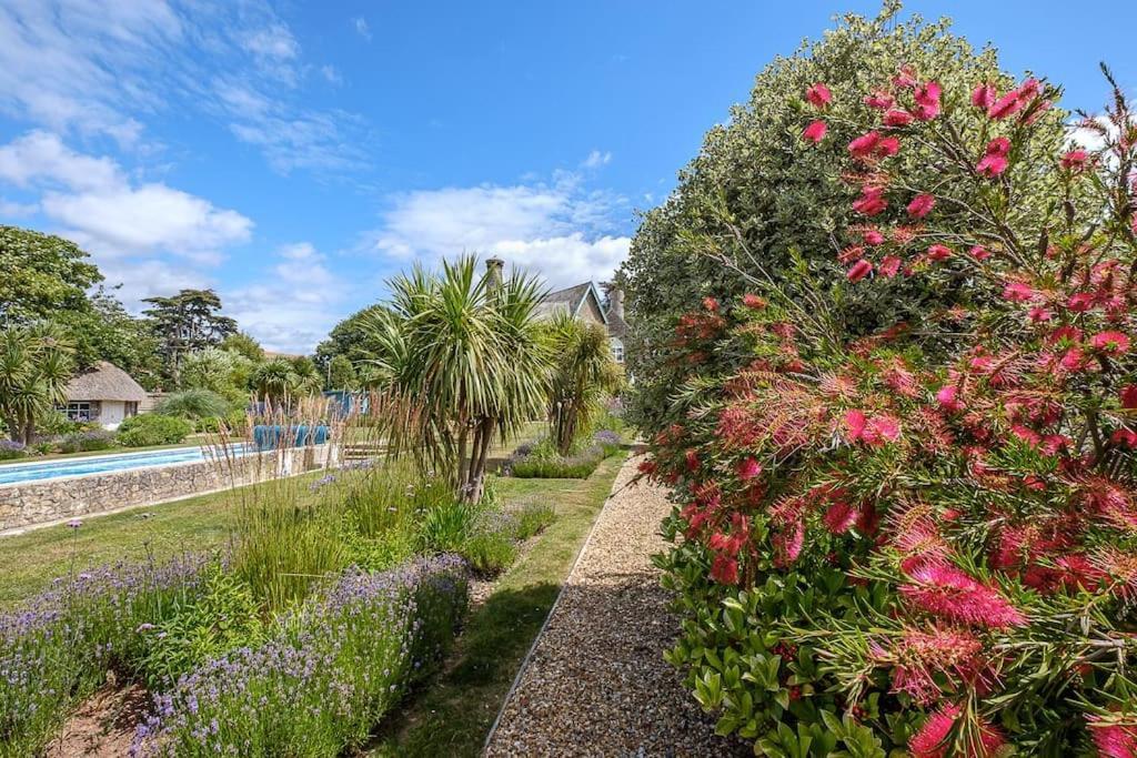 埃克斯茅斯The Beach House-Devon- On The Beach- Sleeps 20别墅 外观 照片