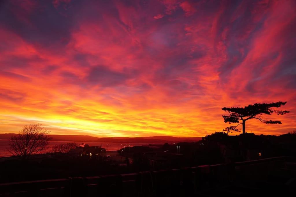 埃克斯茅斯The Beach House-Devon- On The Beach- Sleeps 20别墅 外观 照片